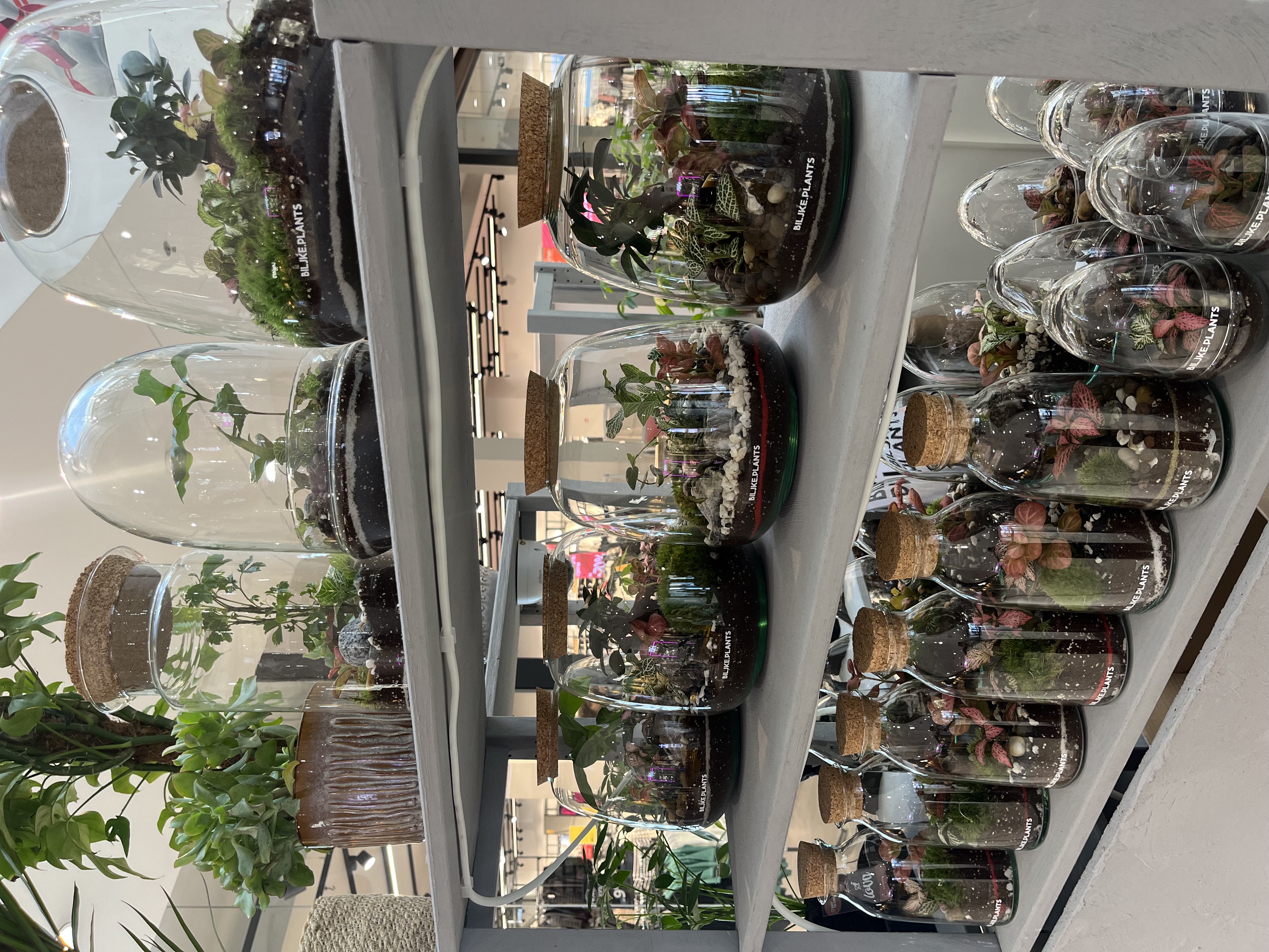 3e4bc4d2 81e9 4156 ada1 cc5a9f2f7c50