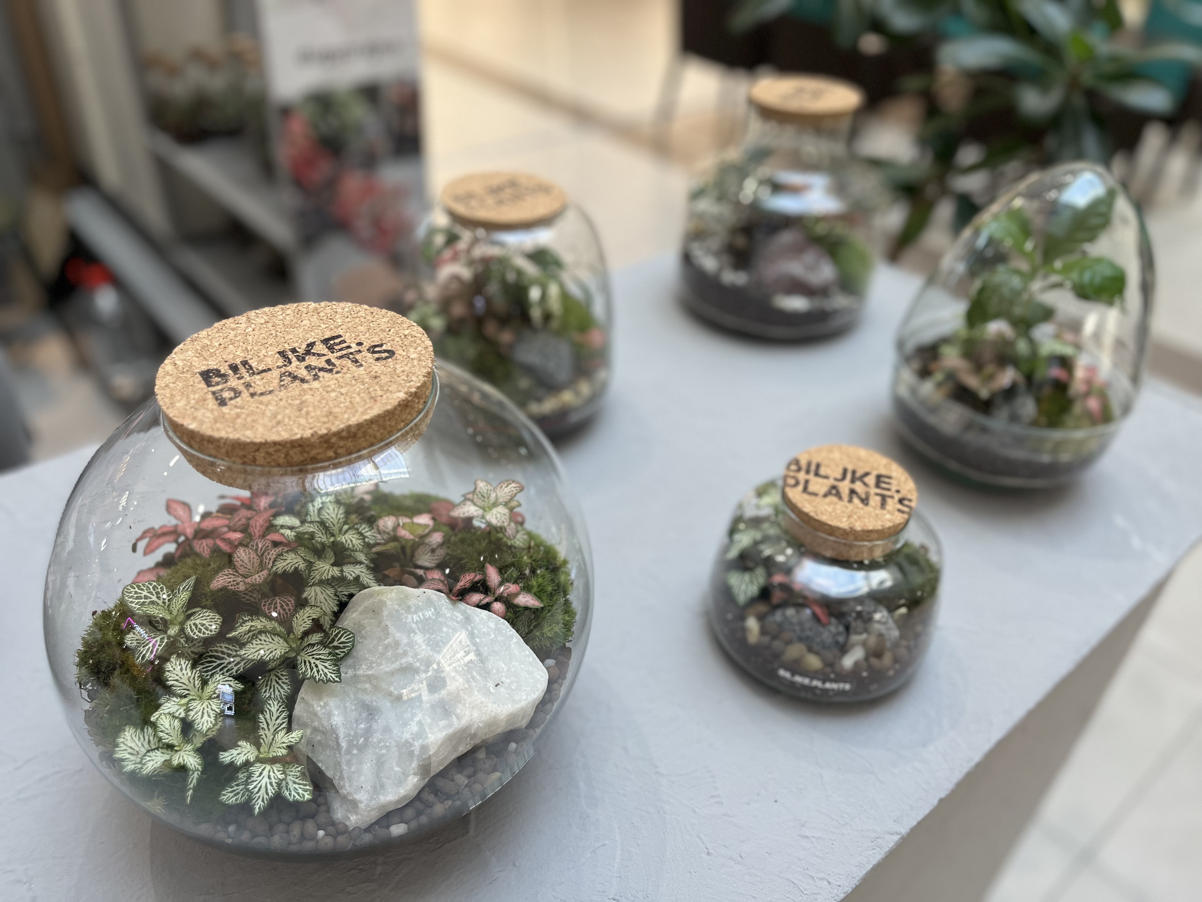 C43cf2ef 7978 43cf 8fb7 3659c25c88f2