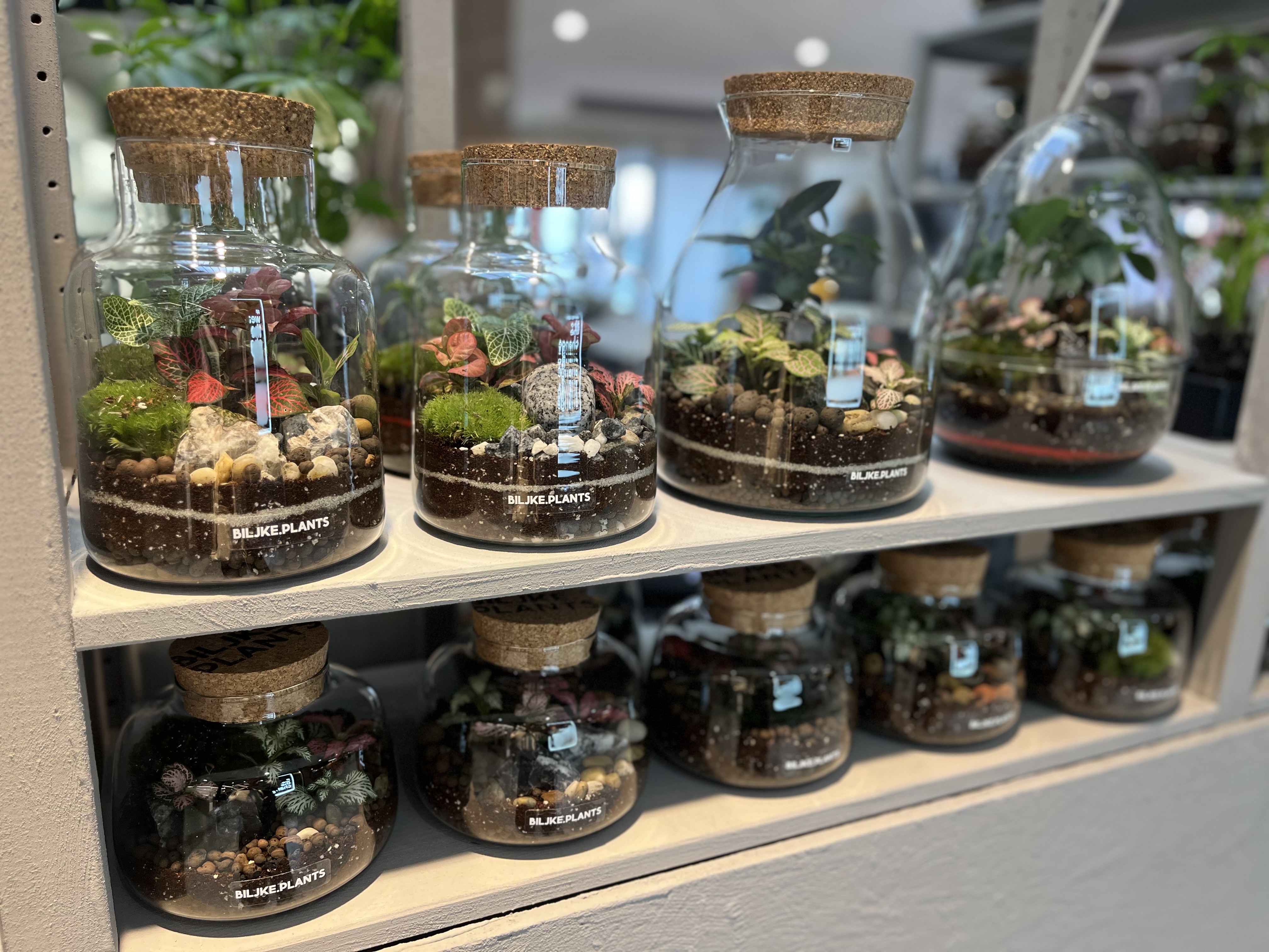 355a5f9f 4719 4ae2 a193 bd706f60a319