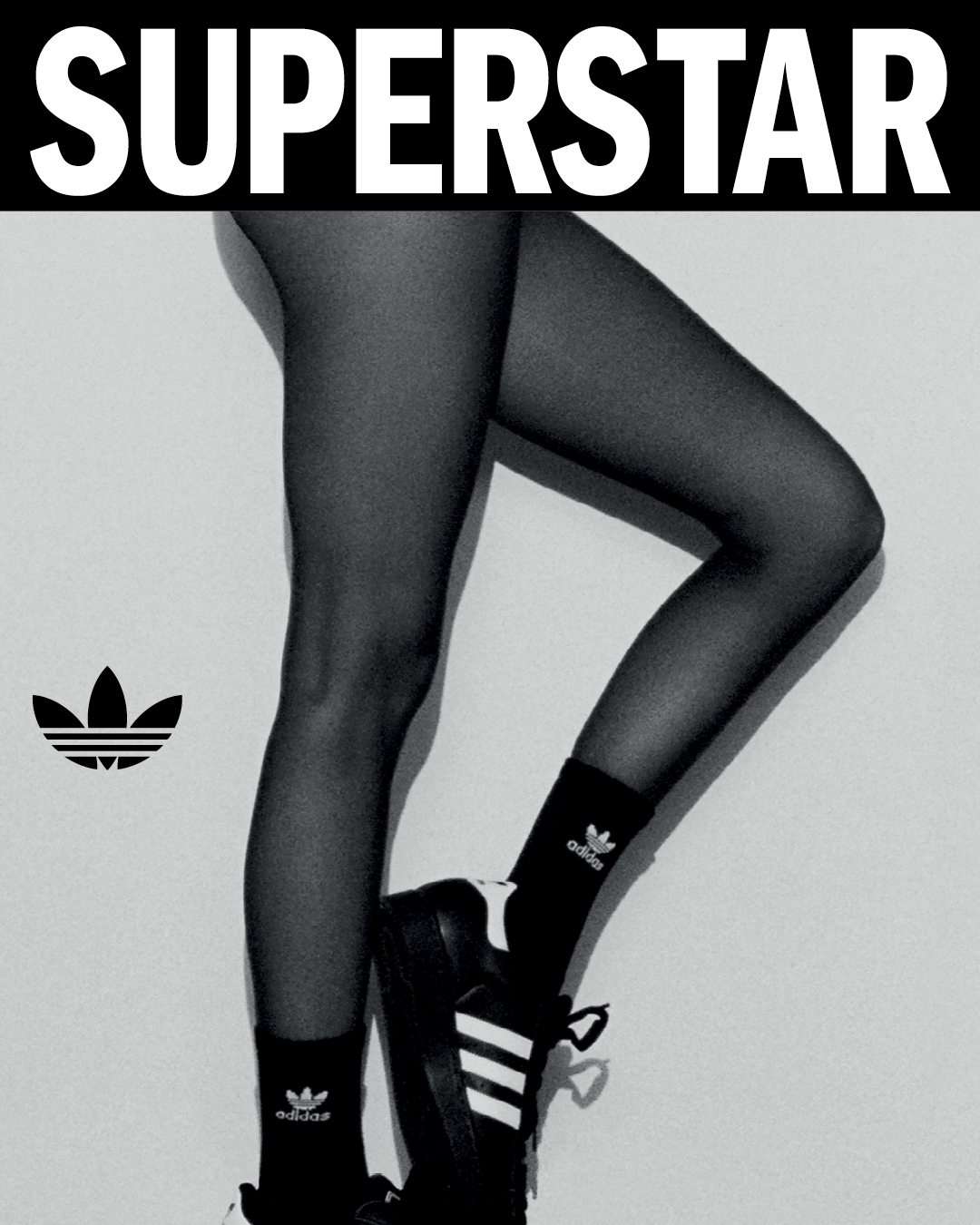 3bc019d0 6f19 49b9 96ea 593b77ed3456