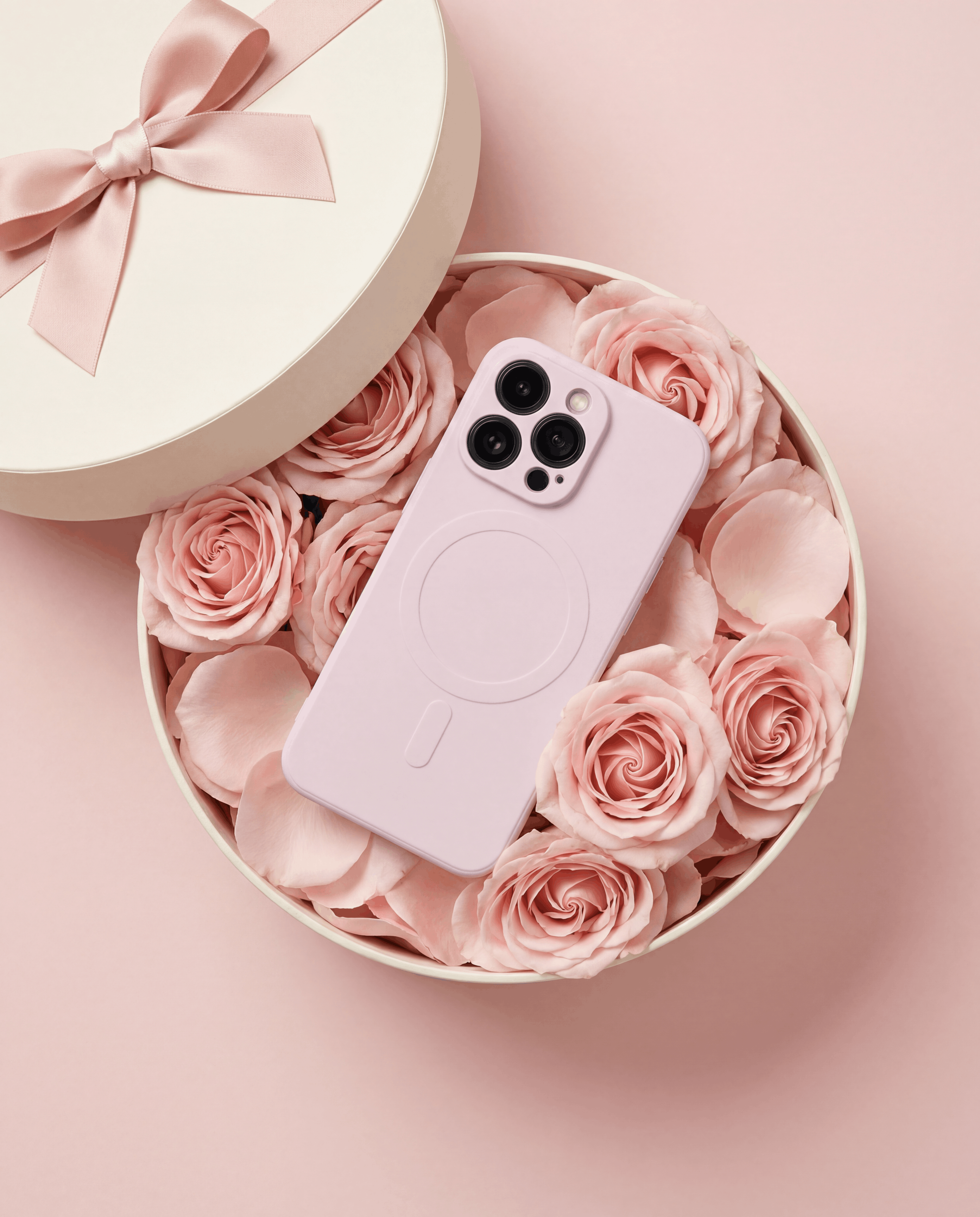 6a5530a2 2b42 4ca6 ba7c 47dc75acee4a