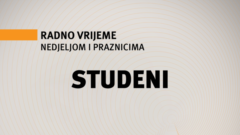 Medium bbd9aa14 d0c9 4282 938b 65decf0cd8e8